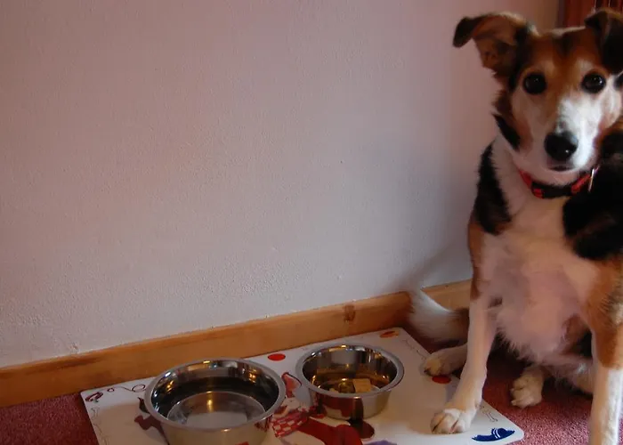 Haus Waldrast * 엘비게날프