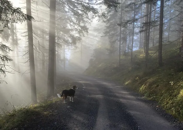 Haus Waldrast 아파트