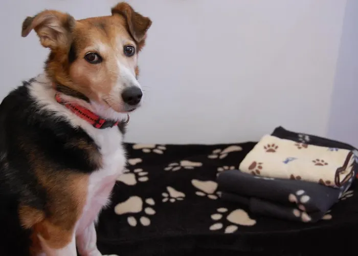 Haus Waldrast Elbigenalp