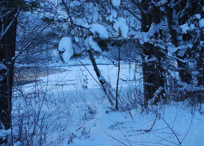 Lejlighed Haus Waldrast